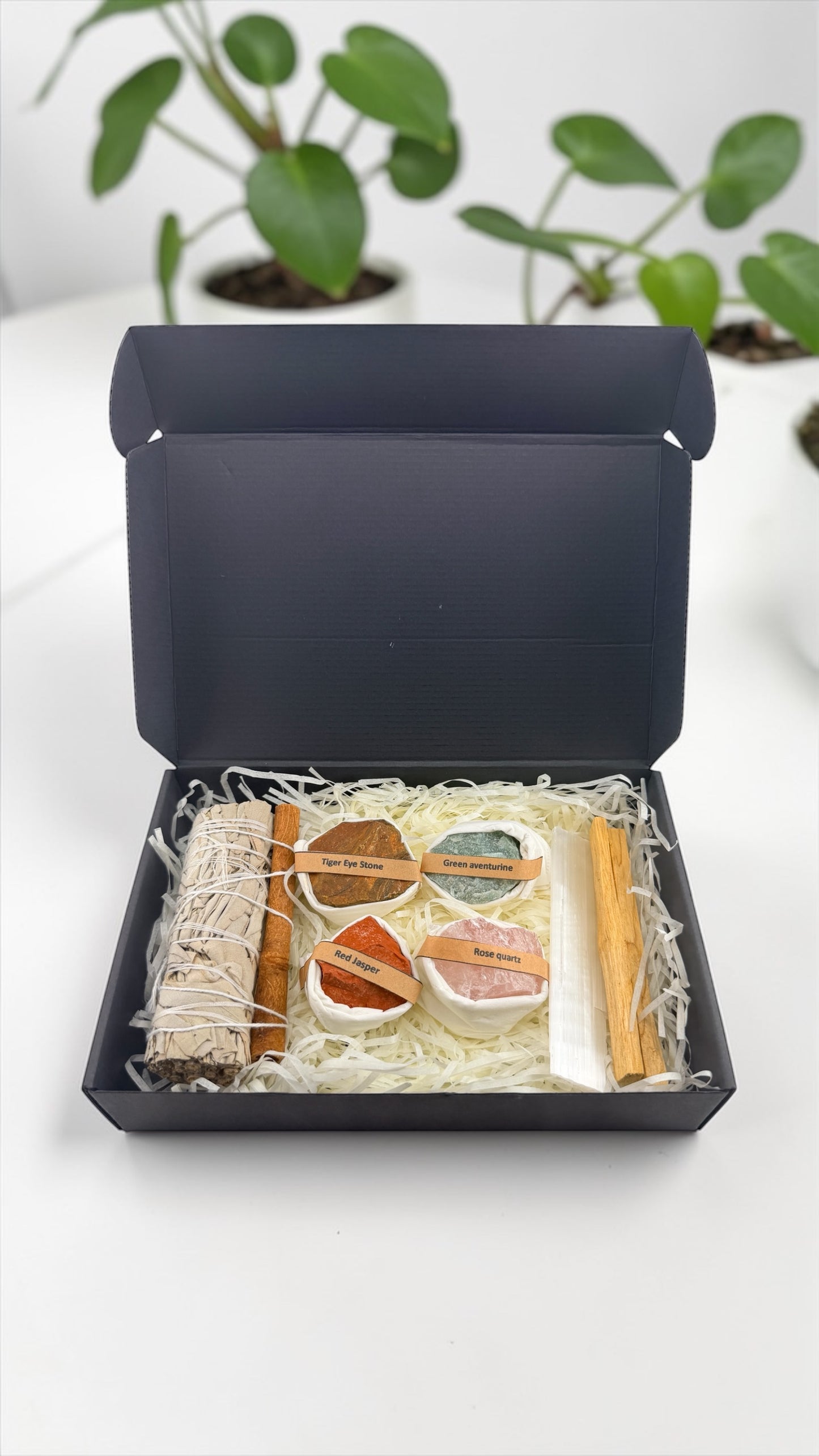 Open black box containing a set of decorative items on a white surface with plants in the background.
