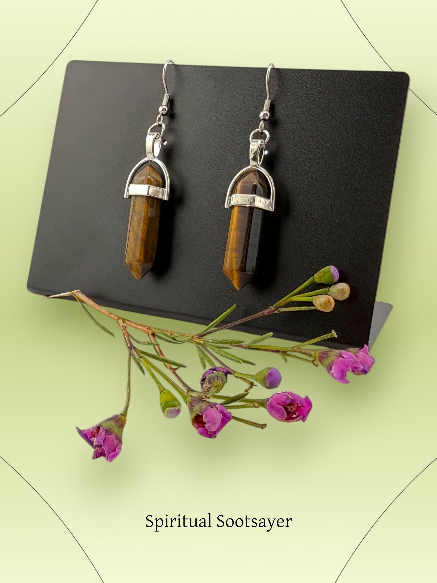 Fierce Clarity – Tiger Eye Point Earrings