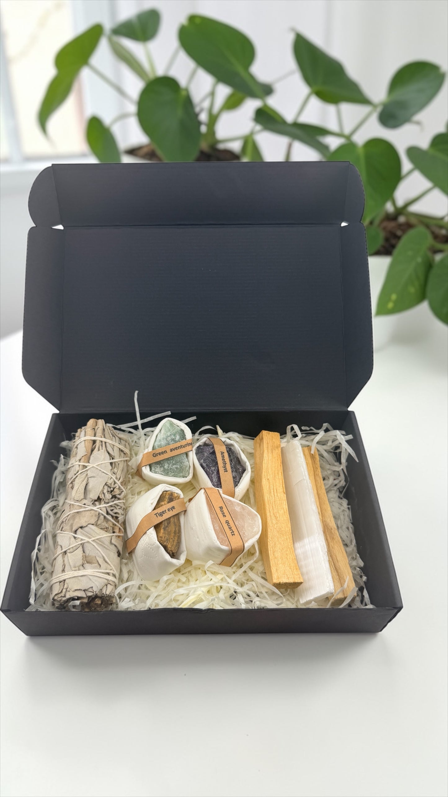 Black box containing smudging tools with a plant in the background