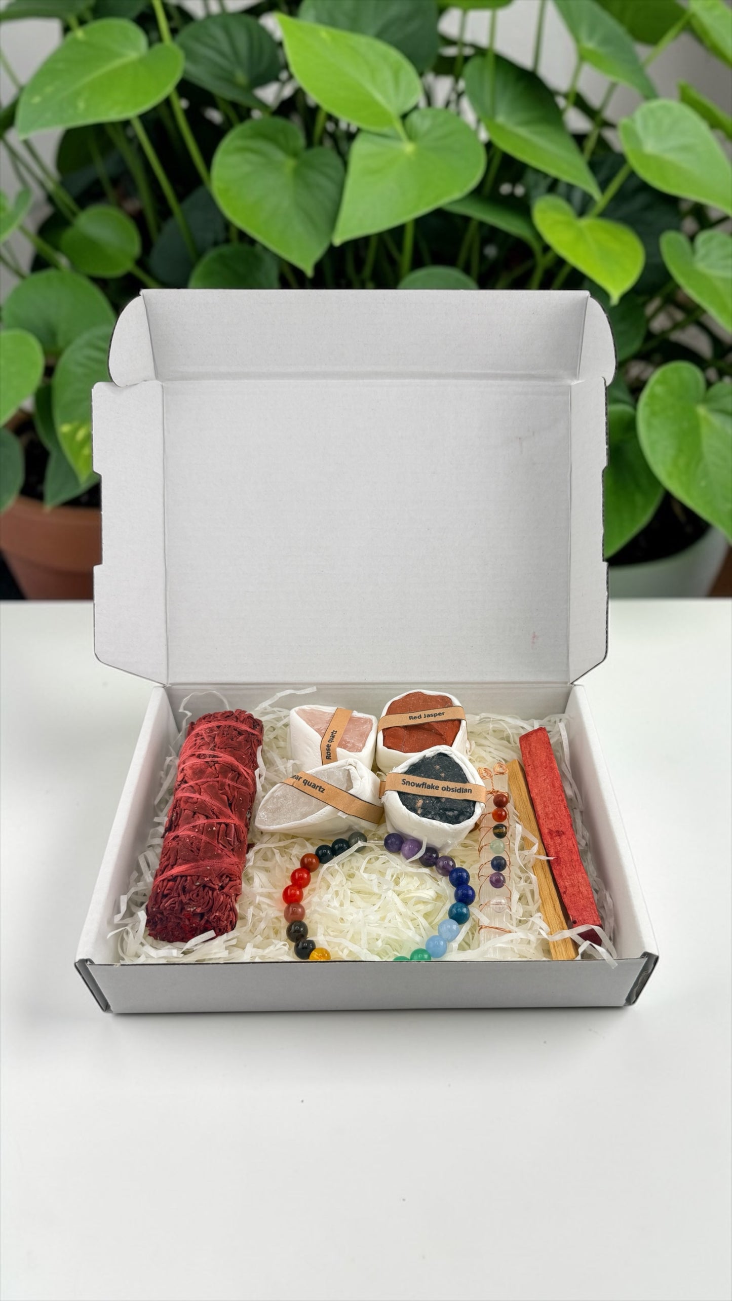 Box of assorted cookies with a plant in the background