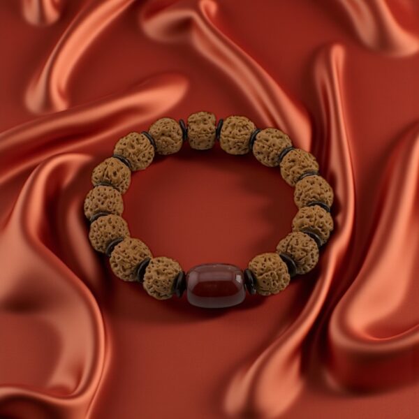 Agate Rudraksha seeds : Rudraksha with Red Agate Purpose: Energy, courage, and life vitality